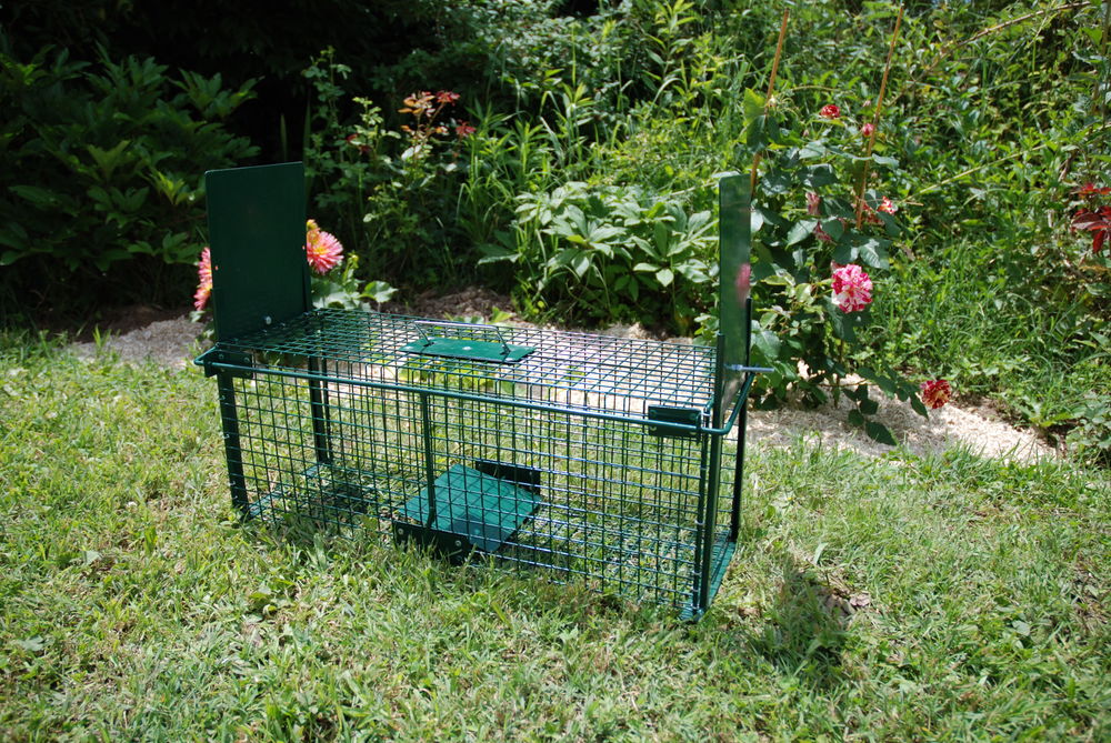 Pi�ge � nuisibles 50 Pouilly-sous-Charlieu (42)