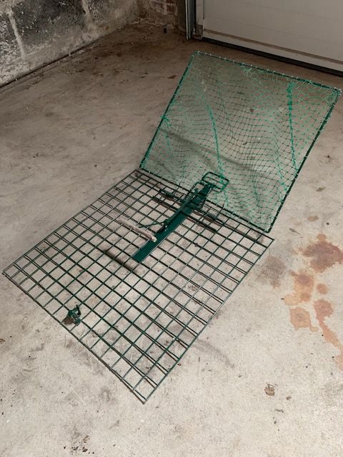 Pi�ge � pie 0 Bruges (33)