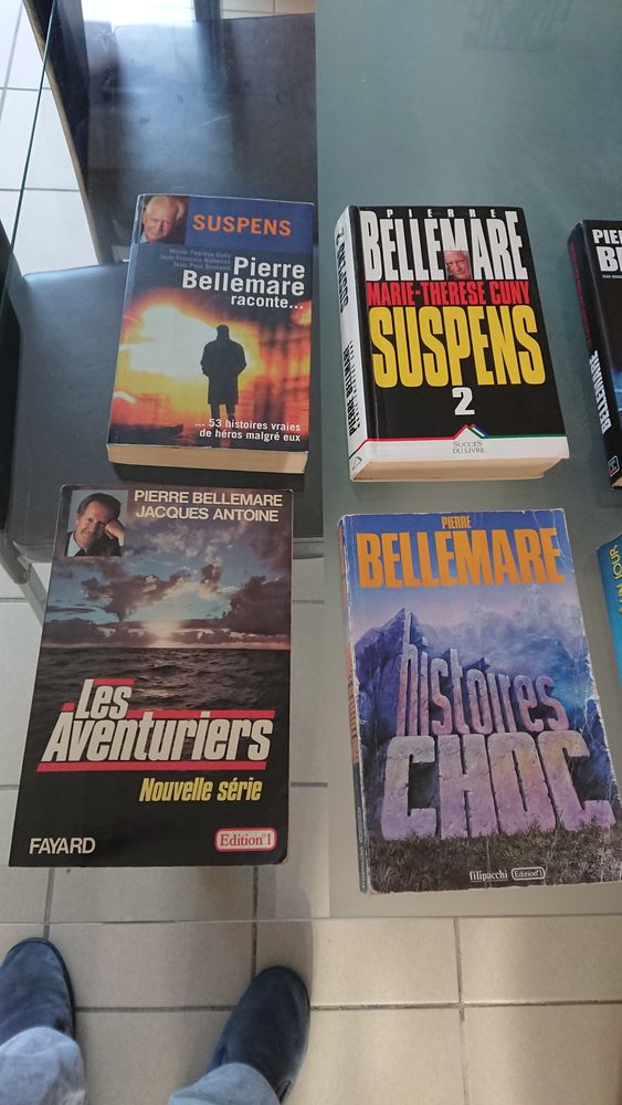 pierre bellemare 1 Chavagnes-en-Paillers (85)