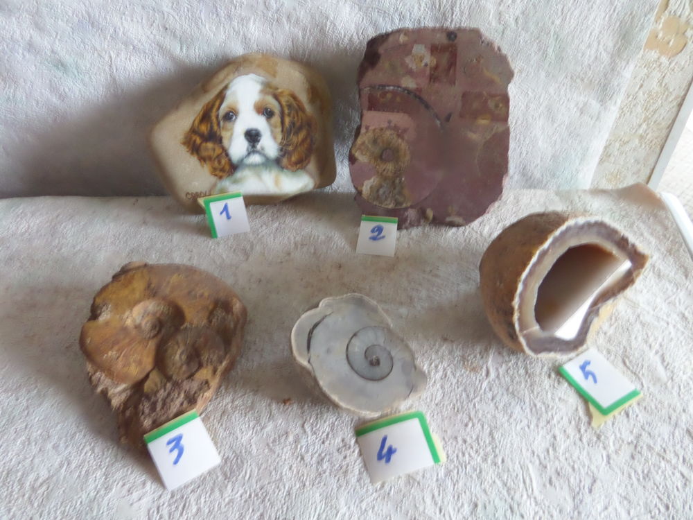 pierre et min�raux 15 Lyon 8 (69)