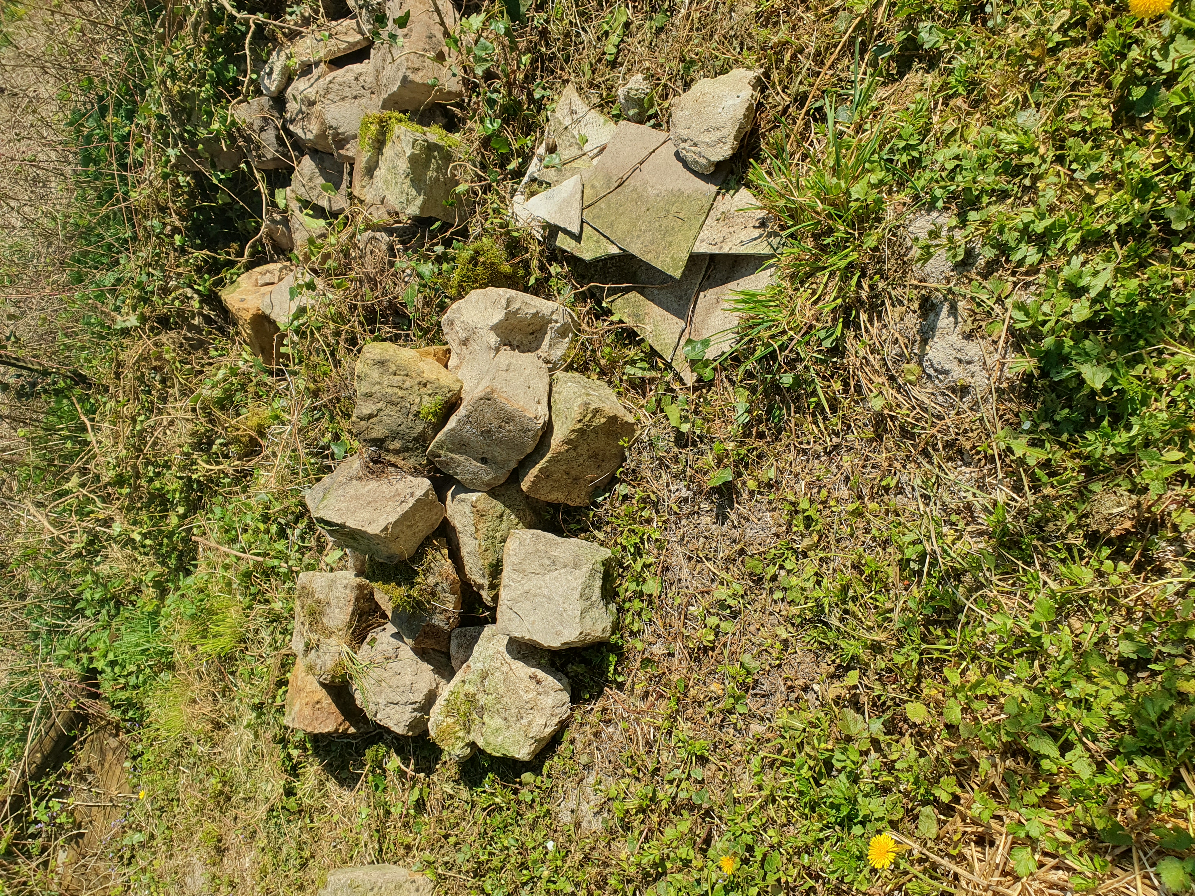 Pierre de taille 1 Maizi�res-la-Grande-Paroisse (10)