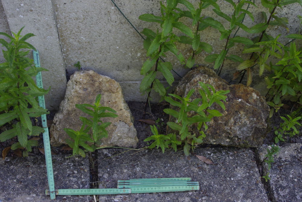 Pierres Meuli�re 0 Ris-Orangis (91)