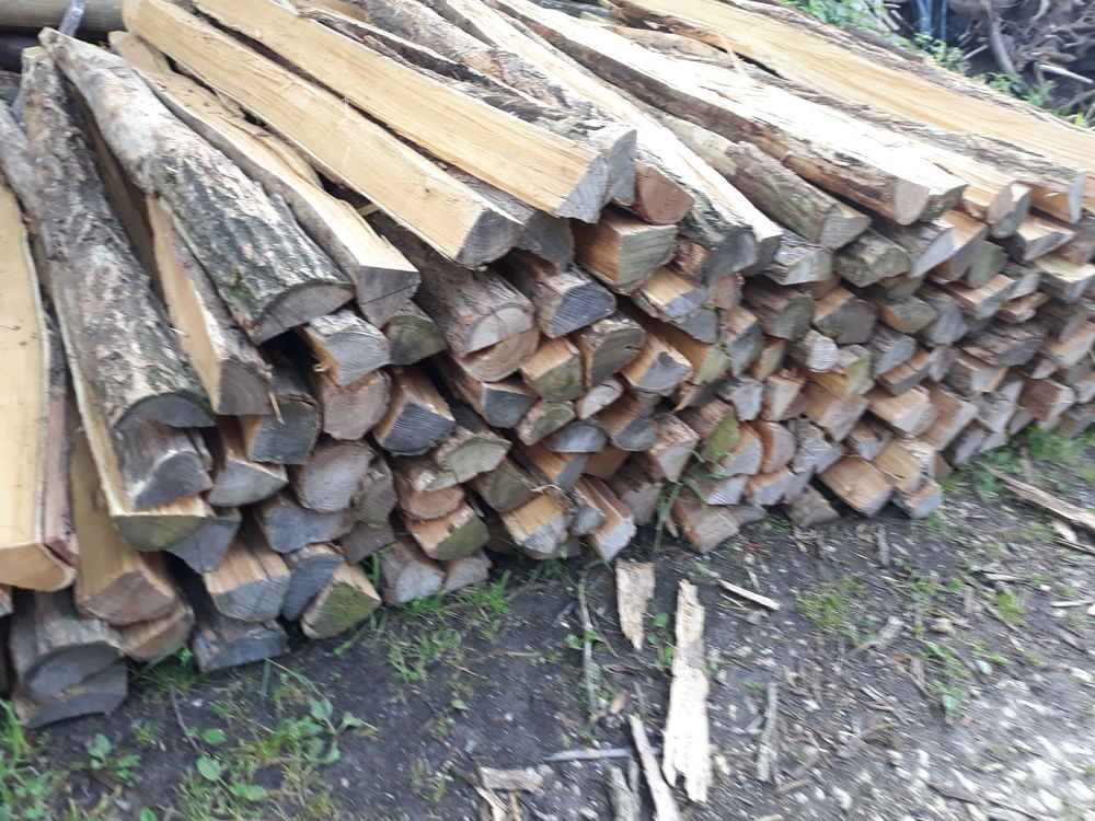 pieux acacias 3 Auxerre (89)