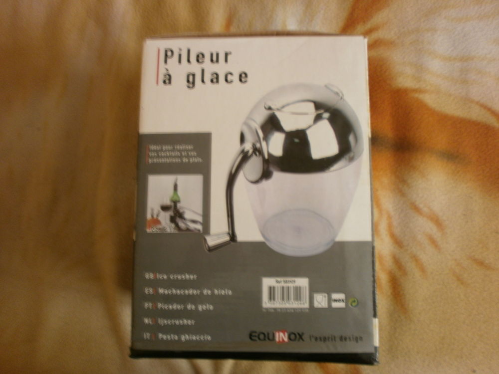 pileur de glace 10 Saint-Agnant (17)