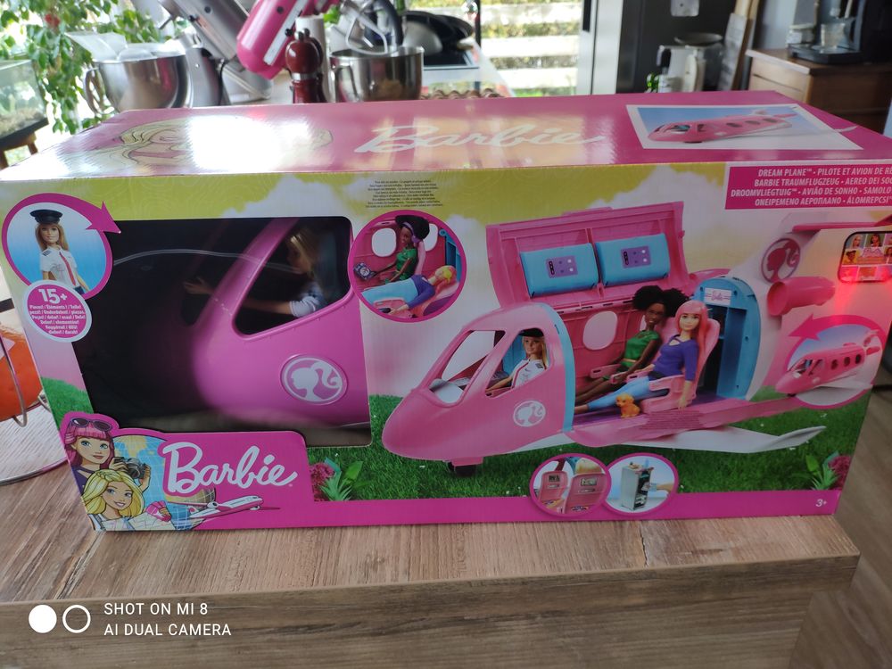 Pilote et avion de r�ve barbie 60 Cond�-Northen (57)