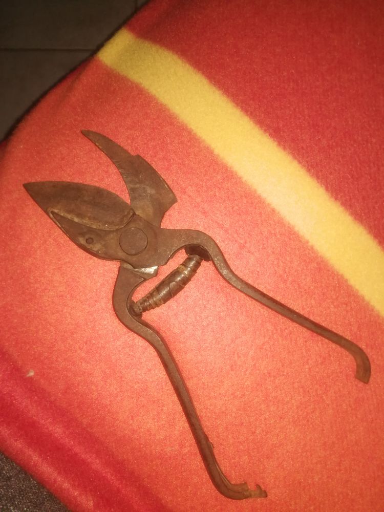 Pince pour tailler 5 Le Creusot (71)
