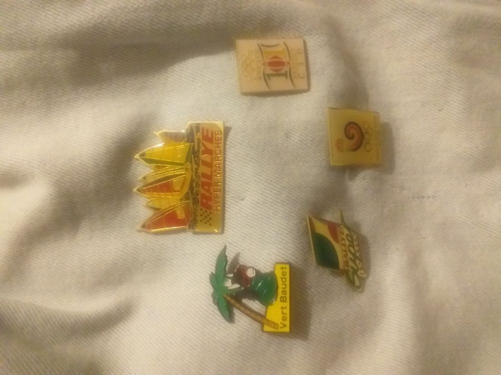 lot de 5 pins d'hiver 2 Limoges (87)