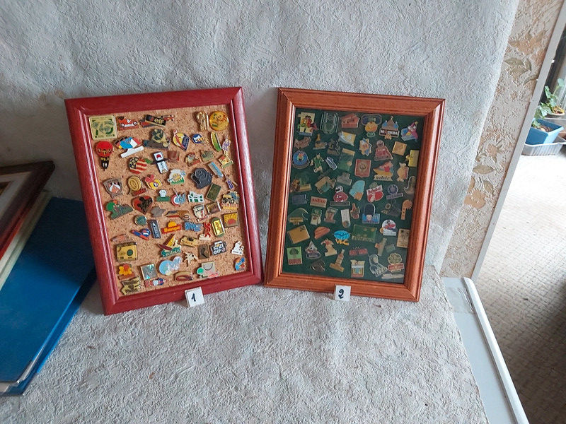 lot de pins 20 Lyon 8 (69)