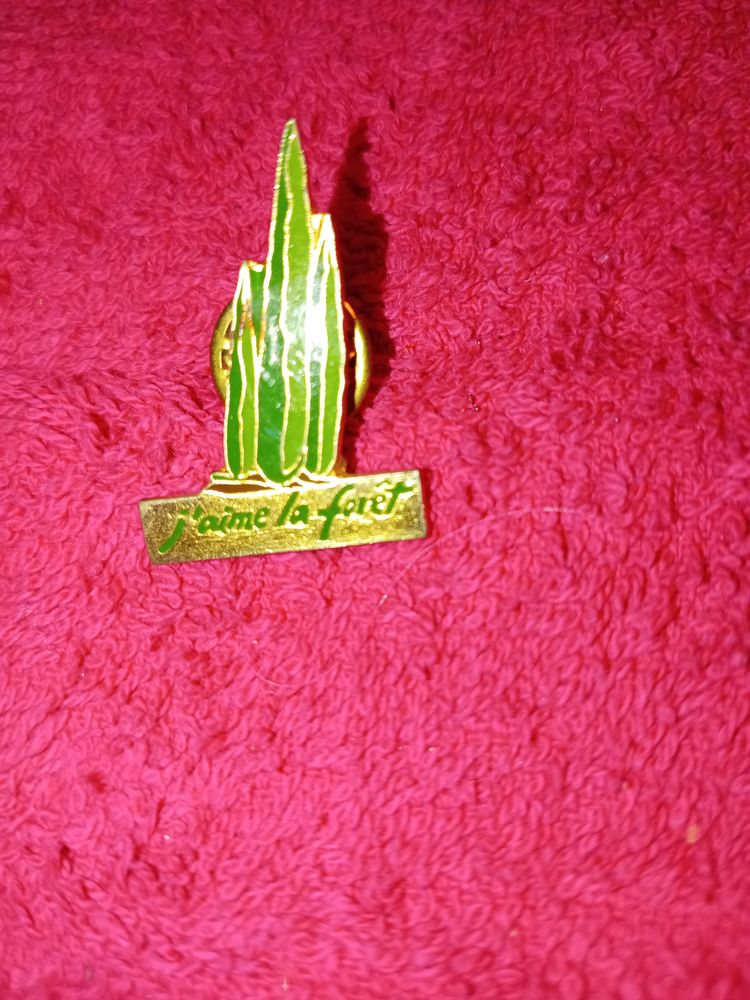 pins 5 Bonnefamille (38)