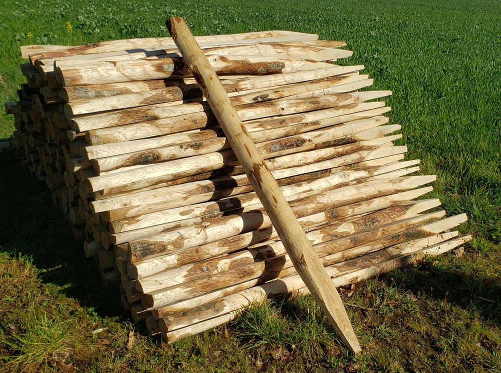 Piquet ch�taignier 0 La Caill�re-Saint-Hilaire (85)