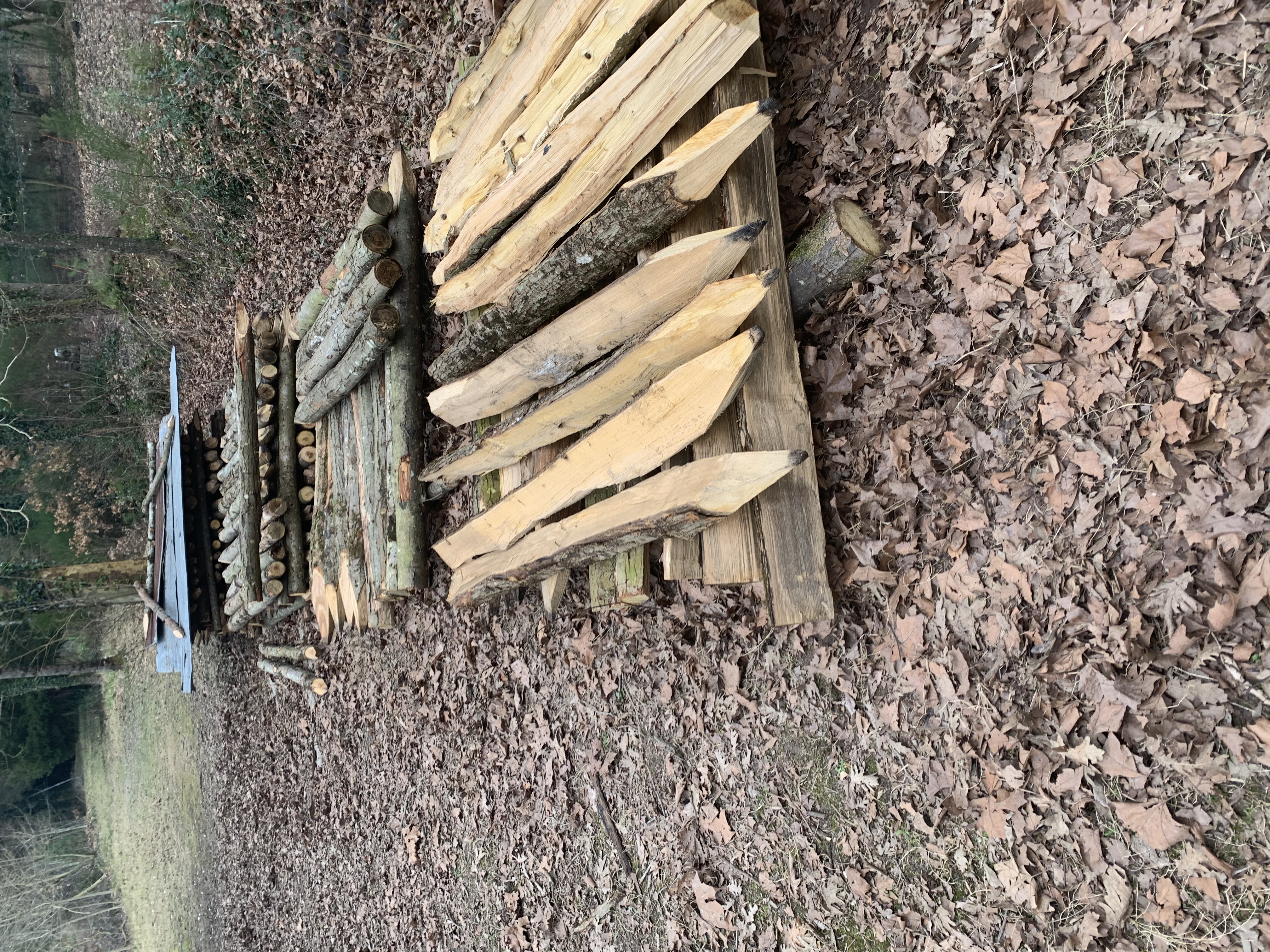 Piquet 2 Saint-Martin-d'Arc� (49)