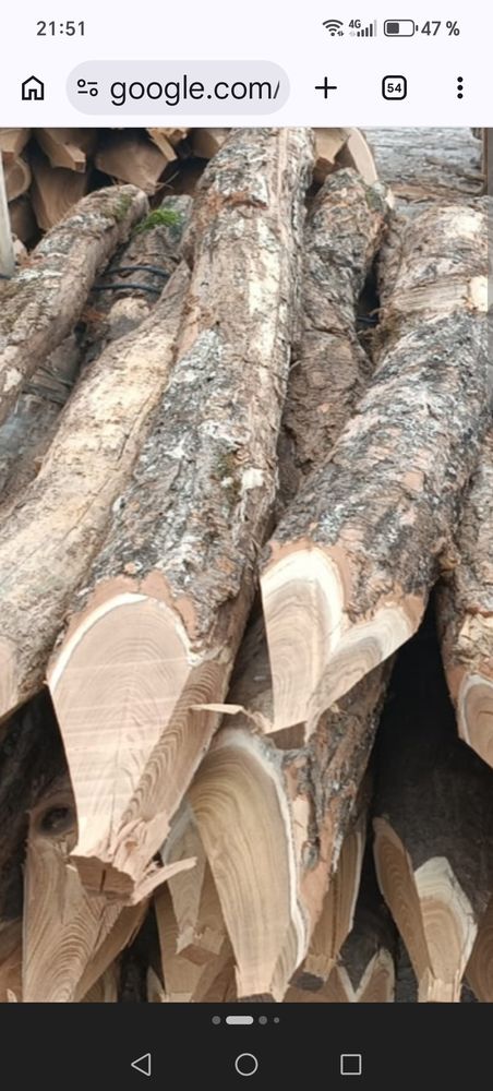 Piquets acacia 4 �tain (55)