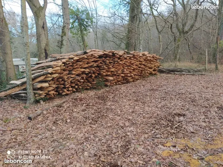Piquets Acacias 3 Goux (32)