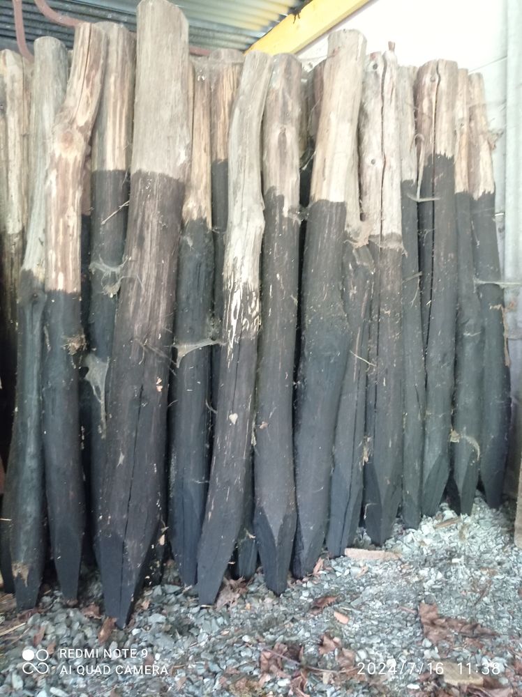 Piquets bois de ch�taignier 
0 Loh�ac (35)