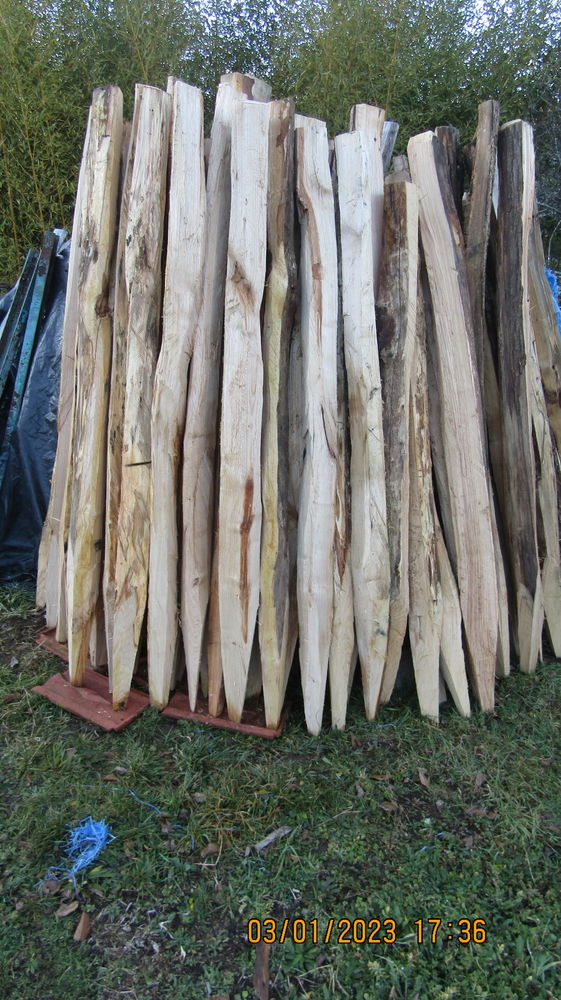 piquets de cl�ture 1 Thiers (63)