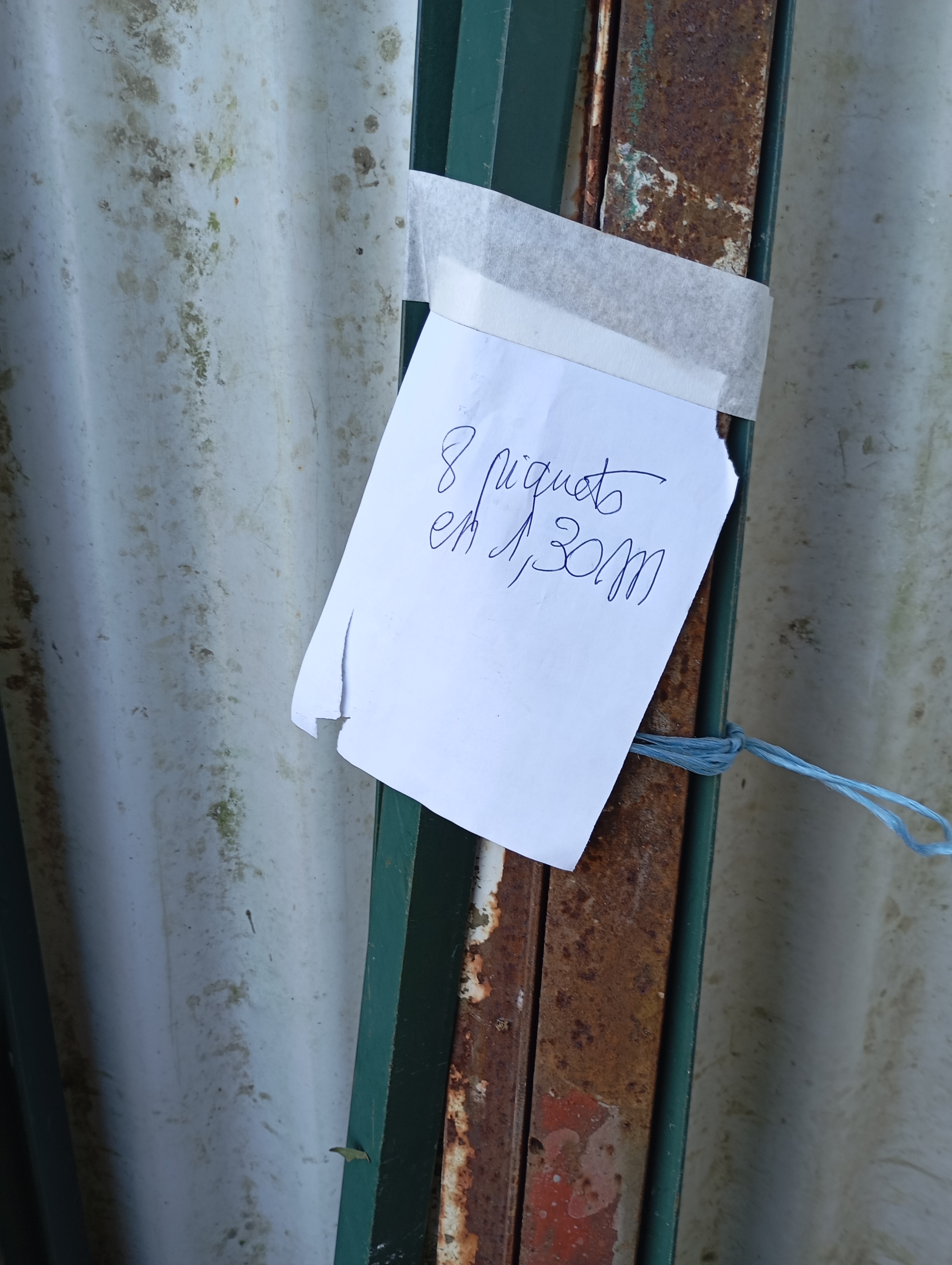 Piquets cl�ture 16 Orleix (65)