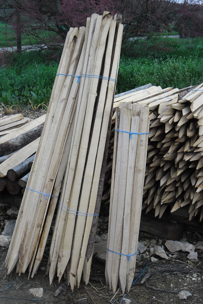 PIQUETS 1 Va�ssac (82)