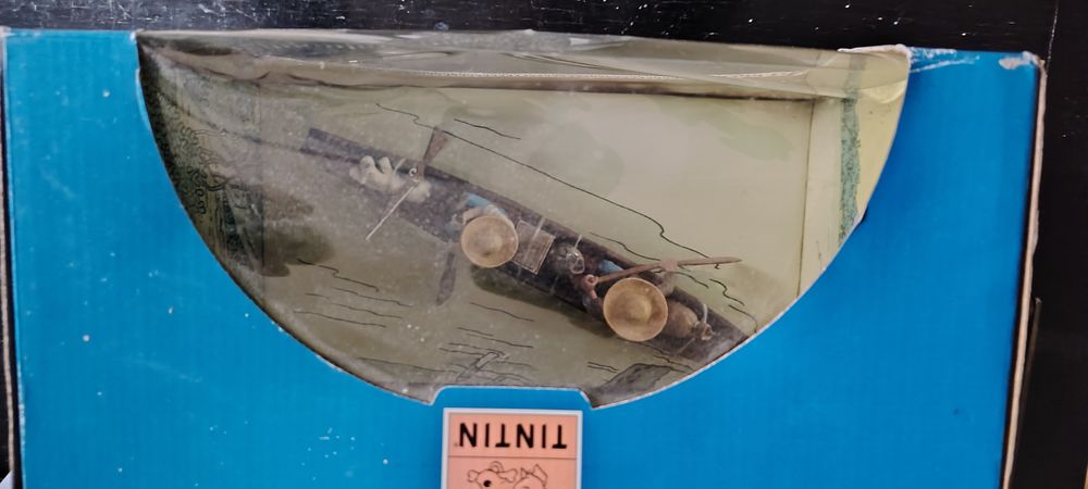 Pirogue Tintin 290 Manduel (30)