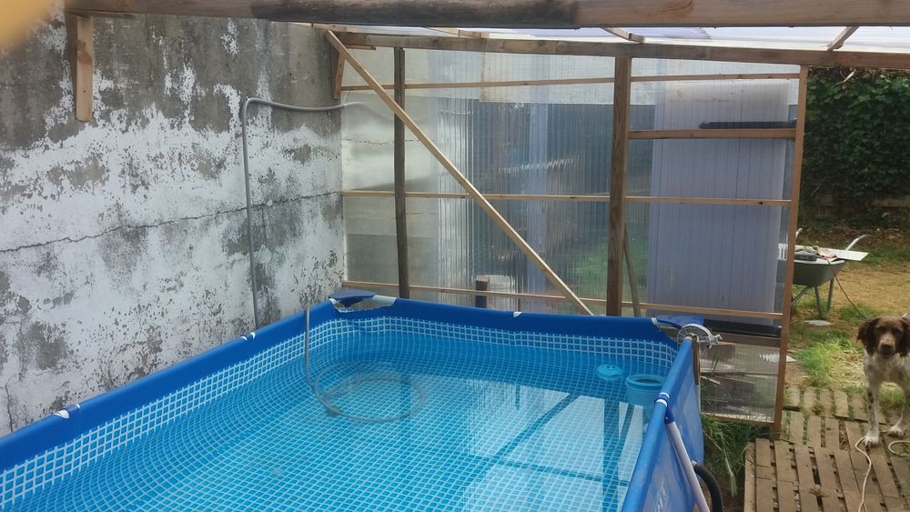 piscine 50 Saint-Palais-sur-Mer (17)