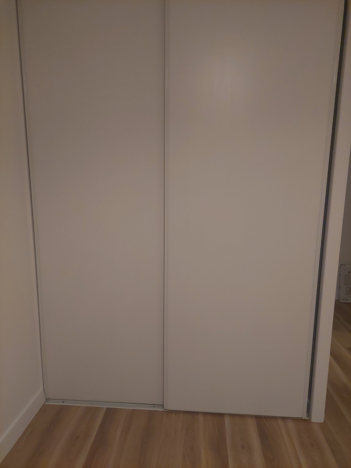 Placard deux portes L totale 170 cm  50 Pessac (33)