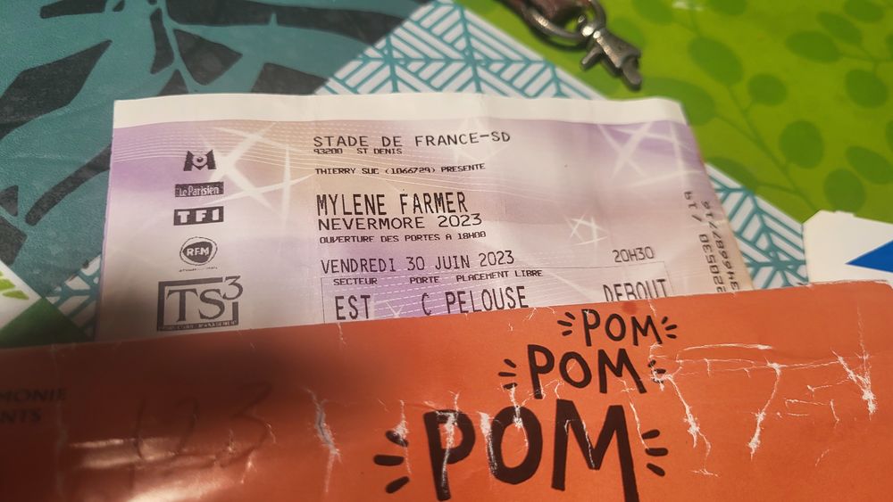 Place de concert stade de france   2024 mylene farmer 110 Avignon (84)