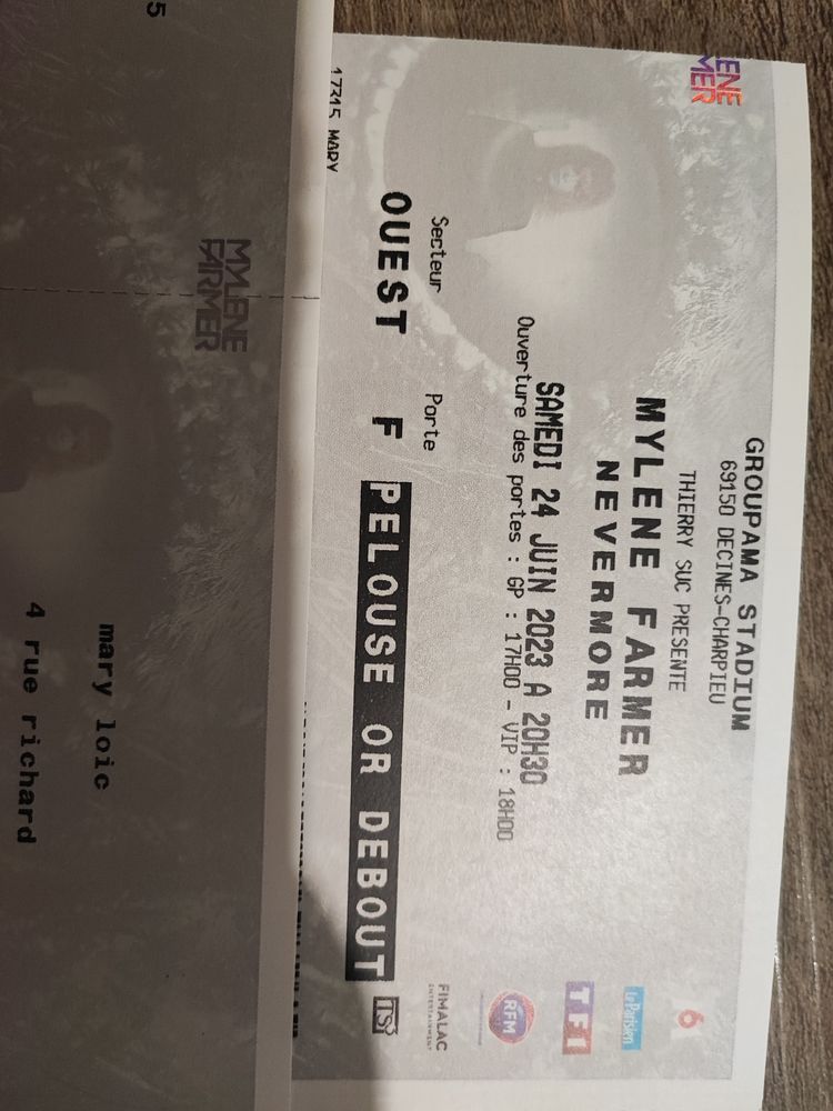 Place Myl�ne farmer 100 Longvic (21)