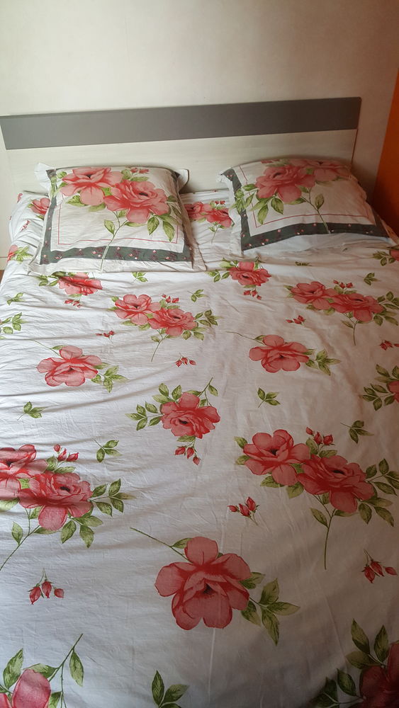 Lit 2 places + sommier 100 Les Ponts-de-C� (49)