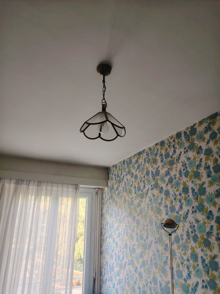 Plafonnier noir fleurs 5 Divonne-les-Bains (01)