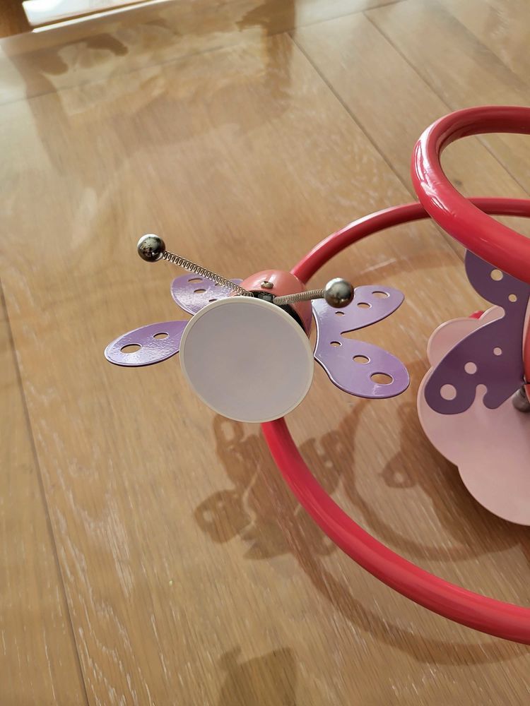 plafonnier papillon 10 Puygouzon (81)