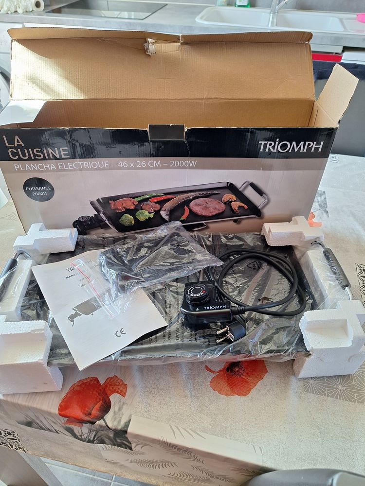 Plancha 2000w 15 Saint-Gilles (30)