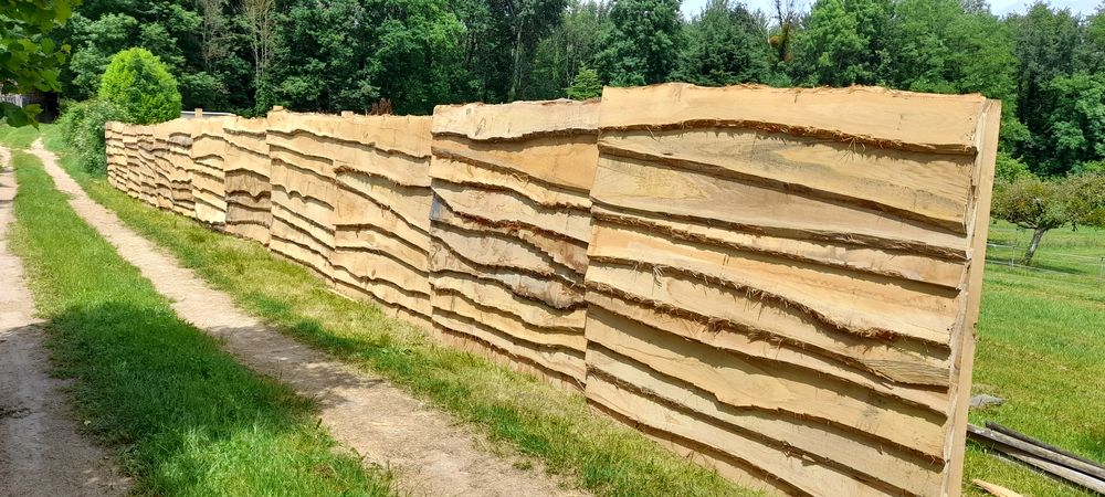 PLANCHE DE CHENE PAS CHER 10 Paris 6 (75)