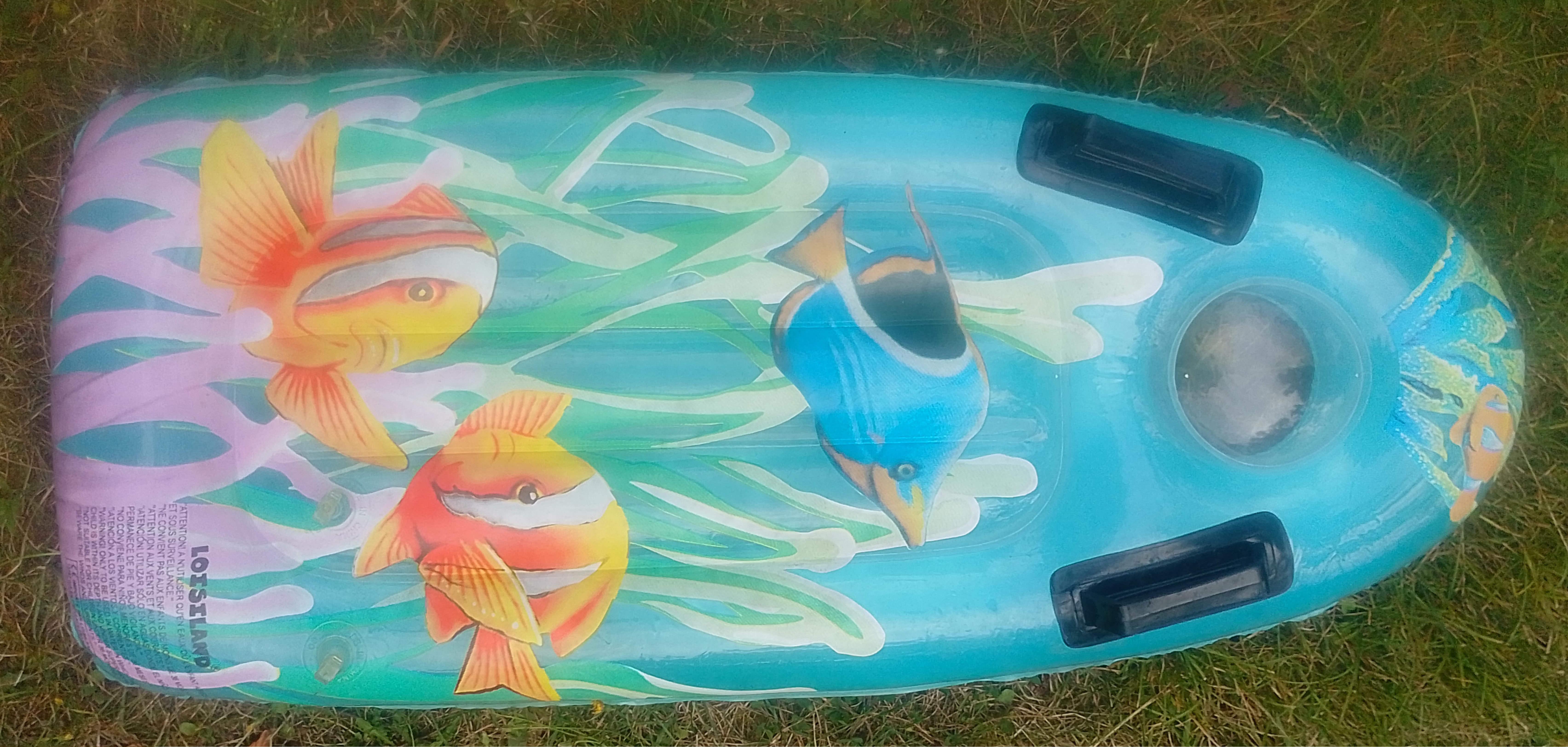 planche gonflable pour jeux d'eau 5 Beauchamp (95)