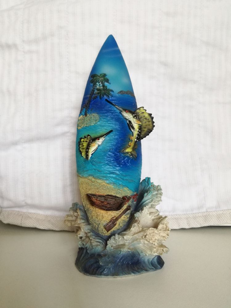 planche de surf 6 Barentin (76)