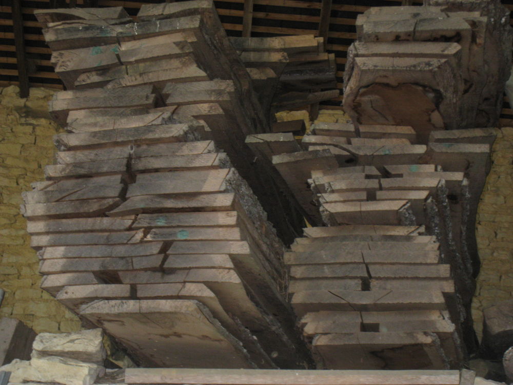 planches d'ormes , chenes, noyers,fr�ne et fruitiers 1 Le Rochereau (86)