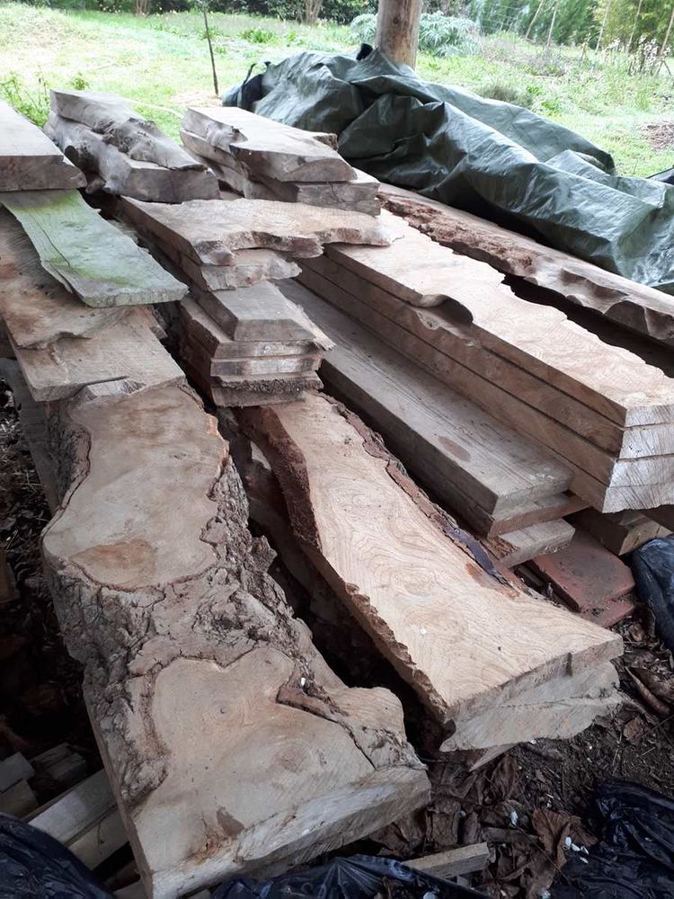 Planches et plateaux en Orme 1100 Pellevoisin (36)