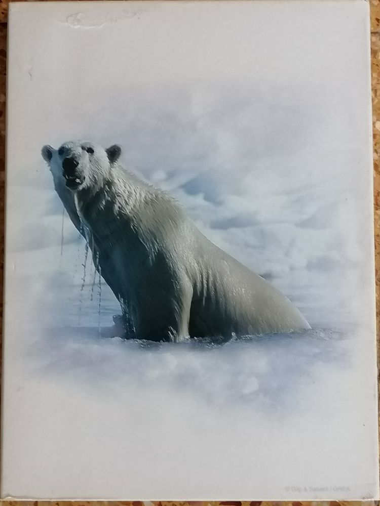 la plan�te blanche 3 Marseille 15 (13)