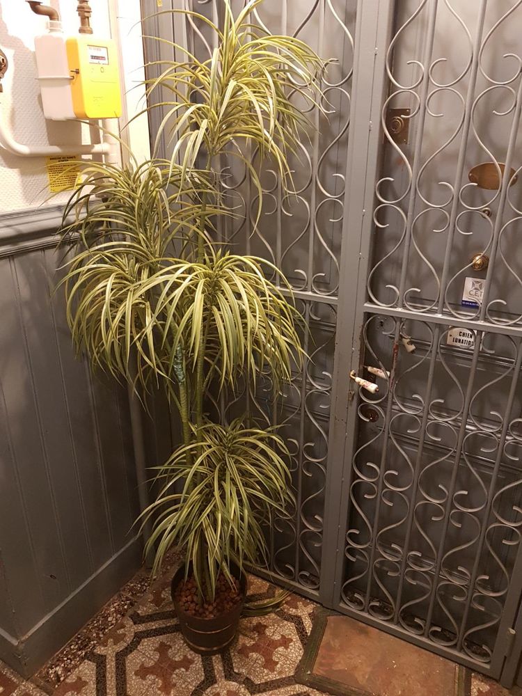 Plante artificielle 150 Toulouse (31)