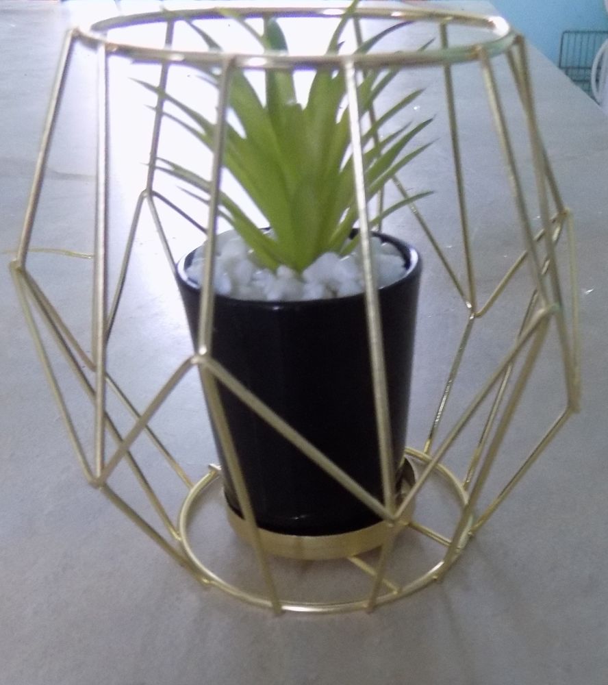 Plante artificielle 2 La Motte-d'Aveillans (38)