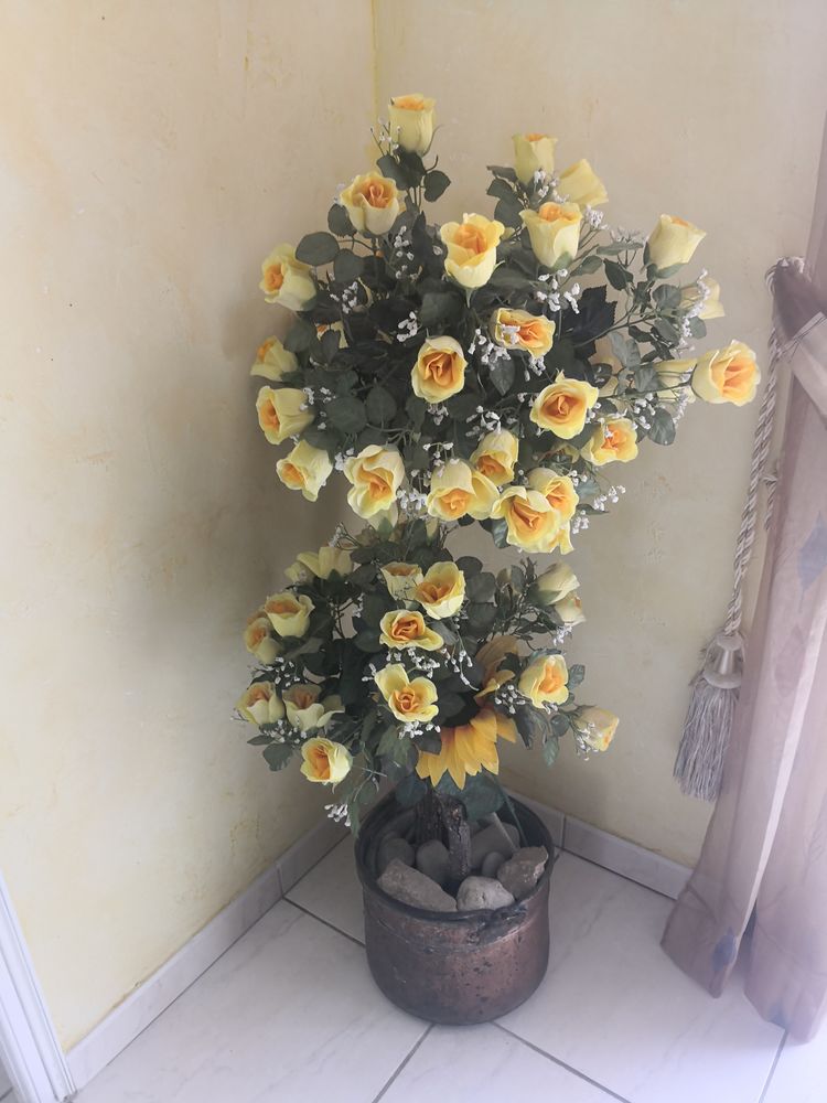 PLANTE DECORATIVE AVEC POT (j'en ai 3) 30 Graulhet (81)