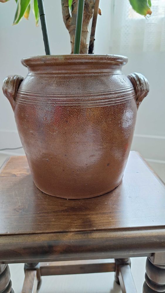 plante d'interieur 50 Villeneuve-sur-Lot (47)