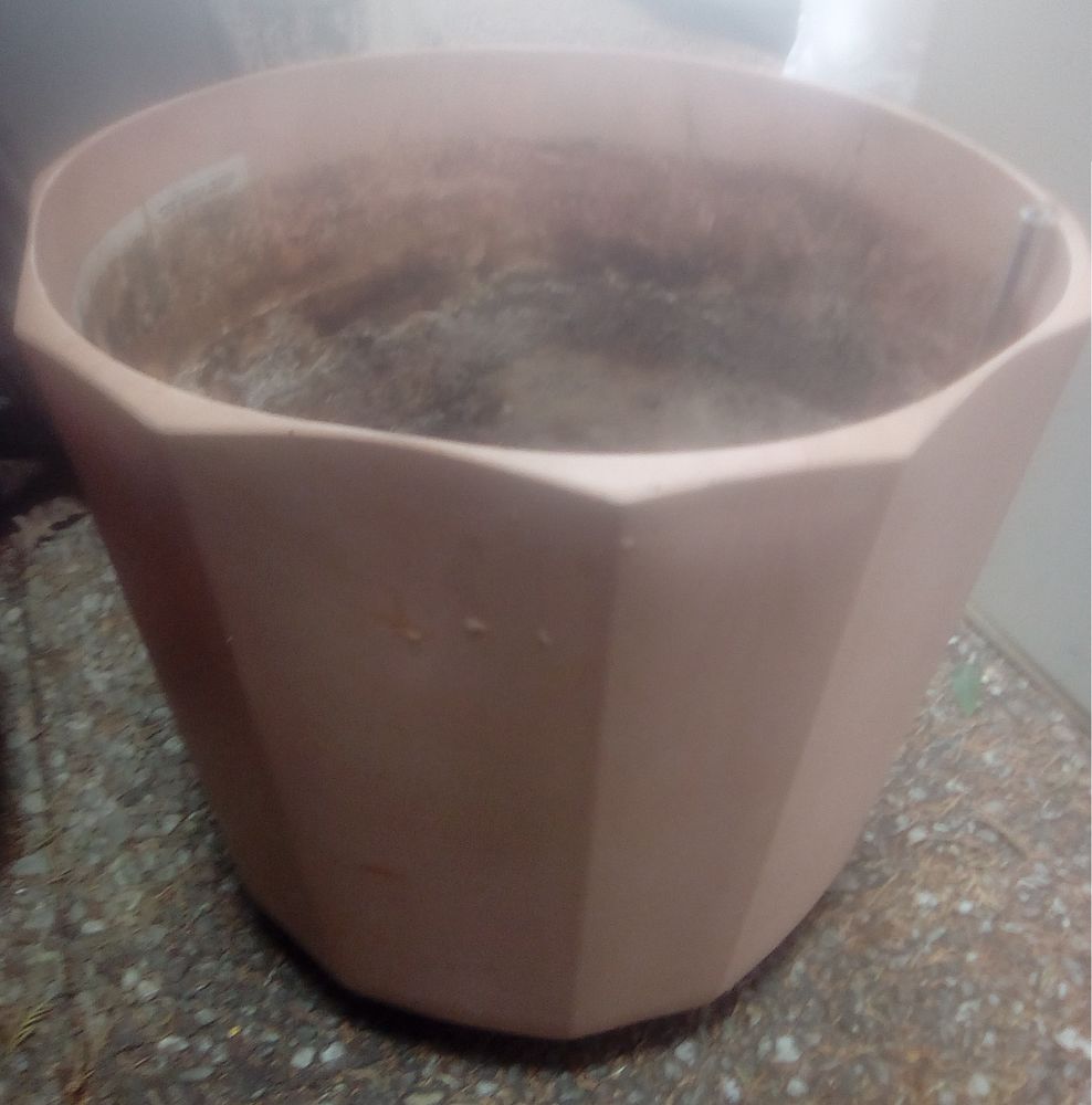 bac plante � r�tention d'eau Optimis 8 Beauchamp (95)