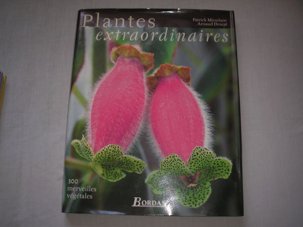 Plantes extraordinaires 30 Laize-la-Ville (14)