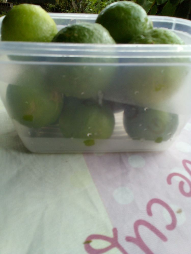 Plantes , Fruits ,et plans d'arbres fruitiers 5 Sainte-Anne (97)