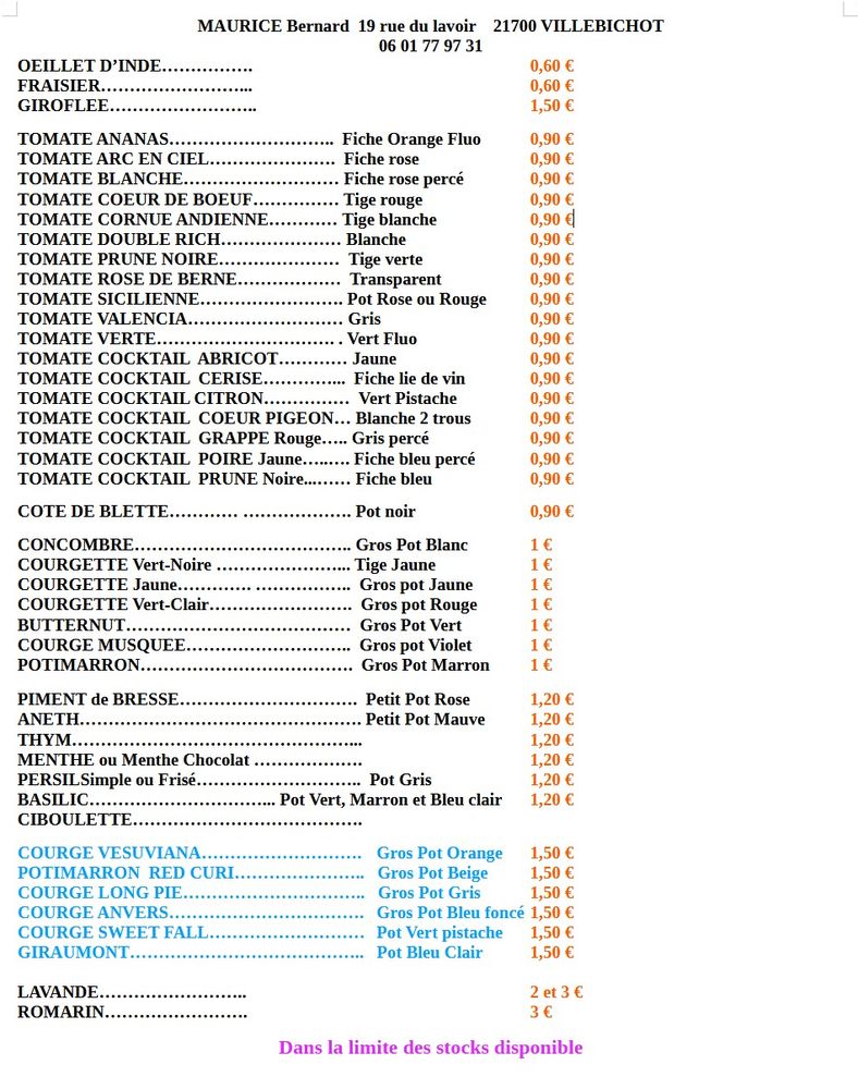 Plants de tomates 1 Villebichot (21)