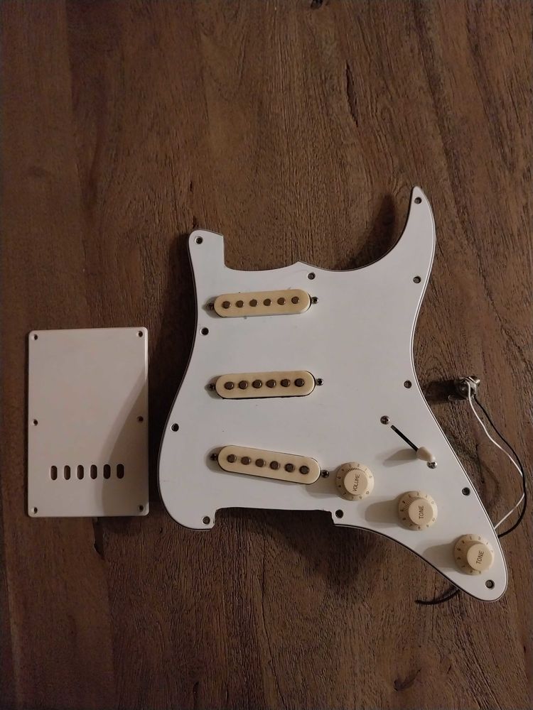 plaque copie stratocaster 15 Nieulle-sur-Seudre (17)