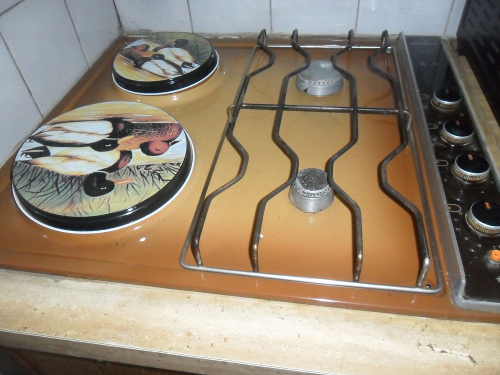 Plaque de cuisson, gaz et �lectrique 15 Luceau (72)