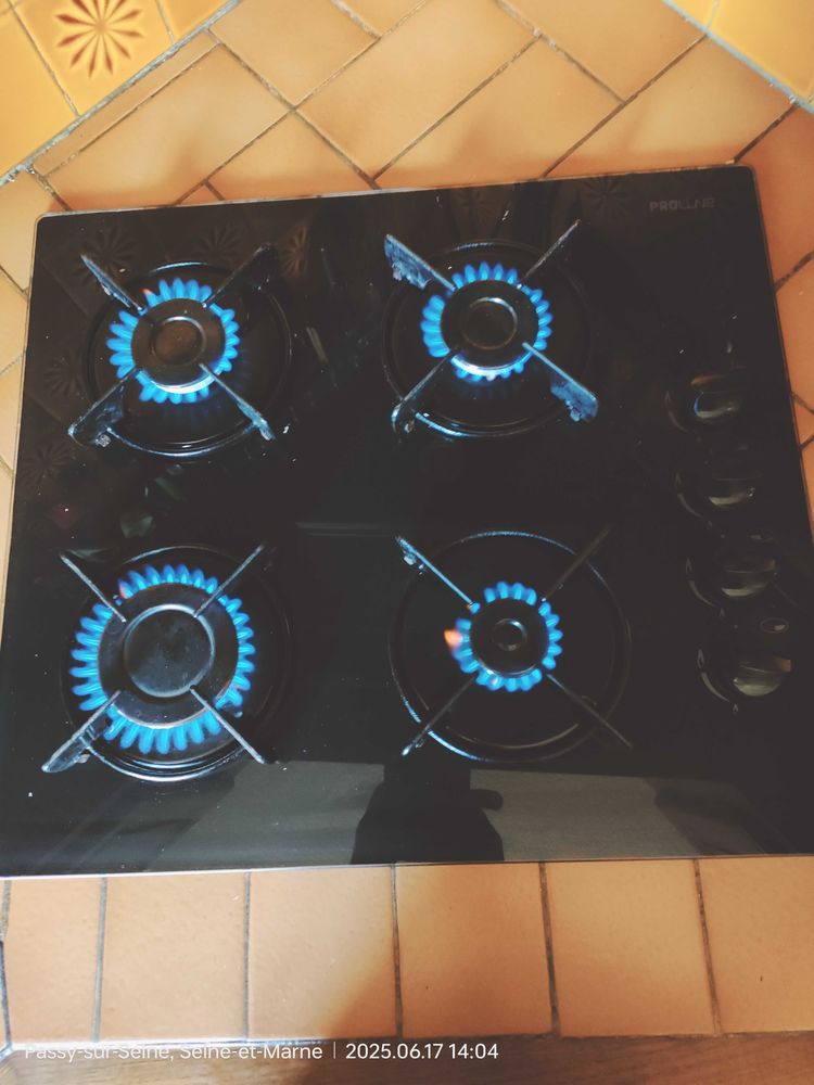 plaque de cuisson gaz 4 feux 50 Passy-sur-Seine (77)