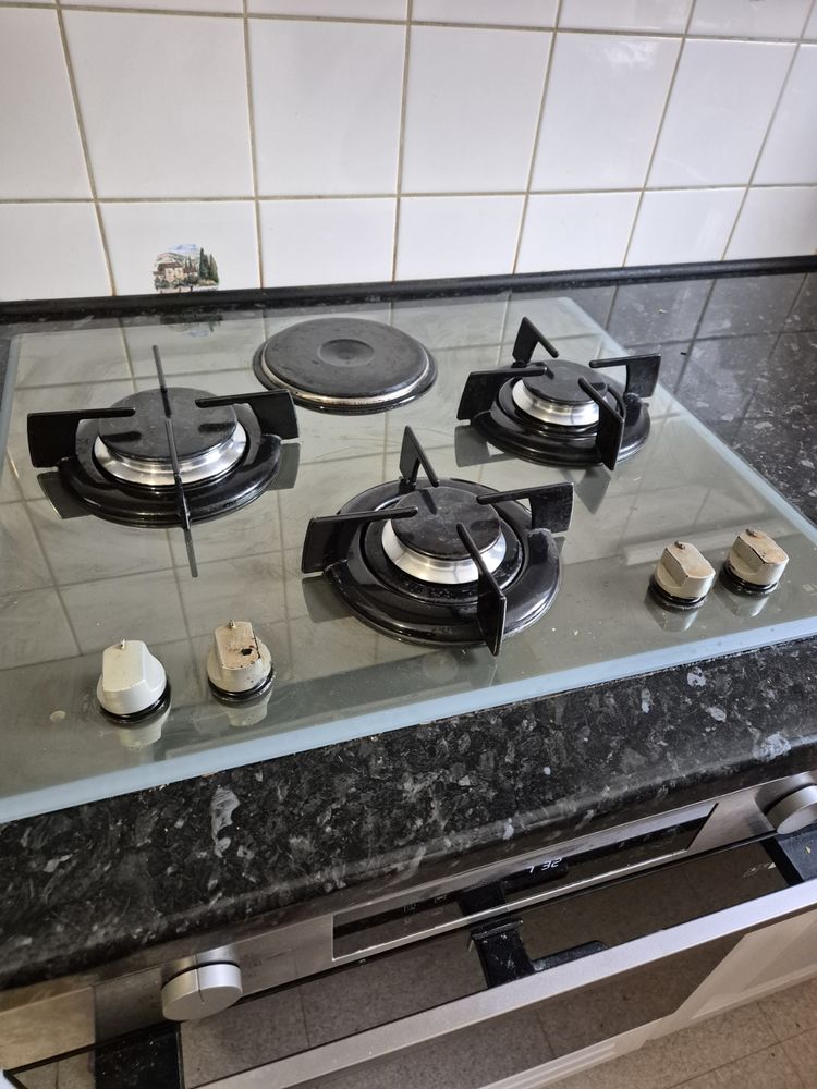 plaque cuisson 50 Villenave-d'Ornon (33)