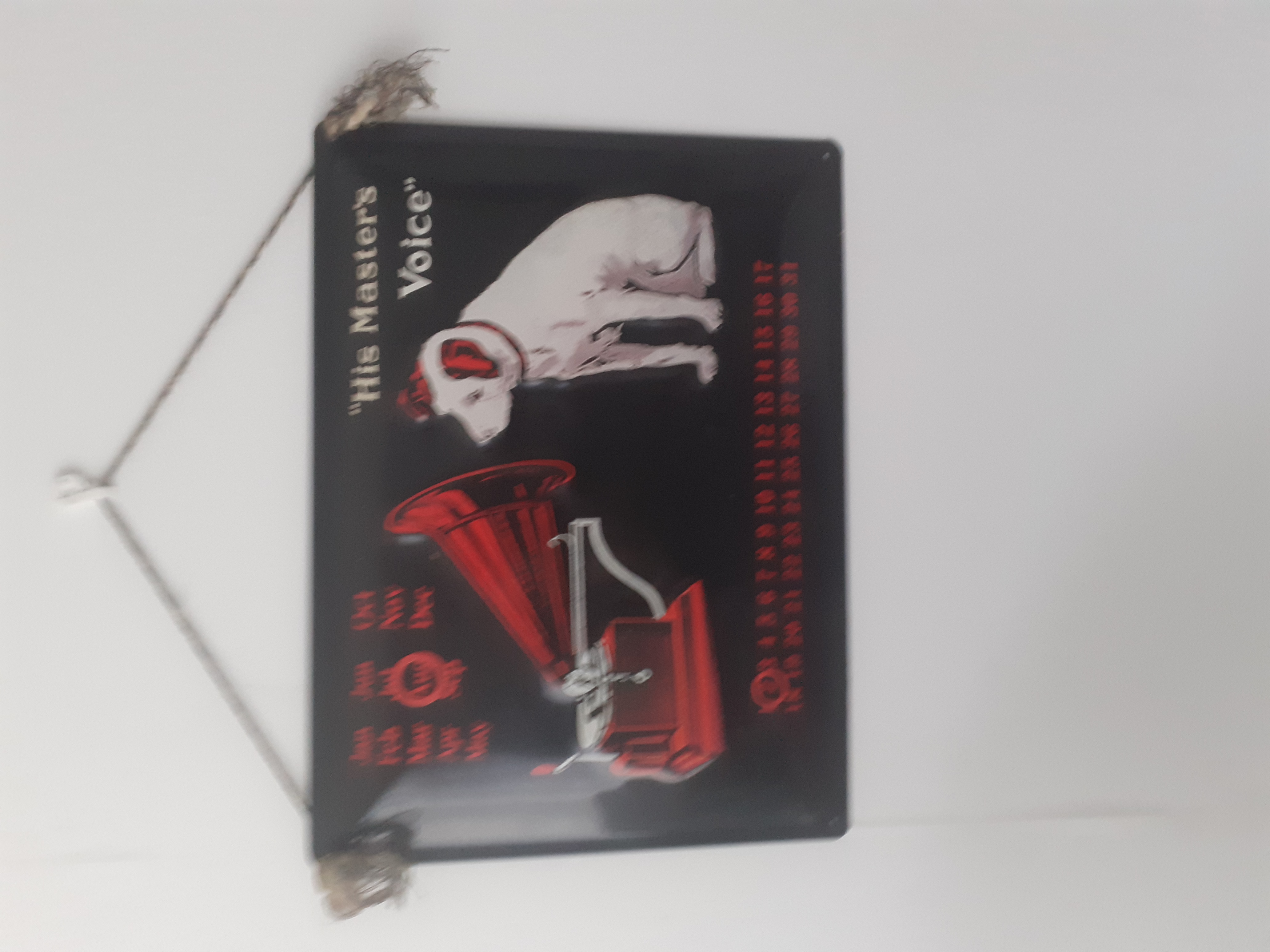 Plaque �maill�e master of voice 0 Strasbourg (67)