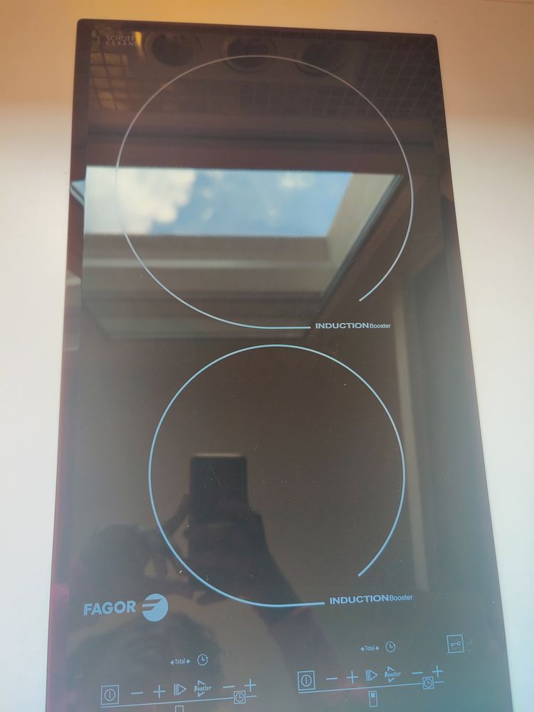  plaque d'induction de la marque Fagor 99 Orl�ans (45)